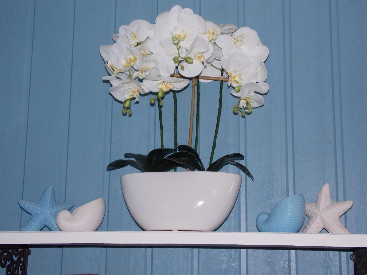 Chambre De La Nonne En Vacances ดอล-เดอ-เบรอตาญ ภายนอก รูปภาพ